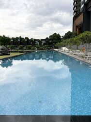 Normanton Park (D5), Apartment #599482531